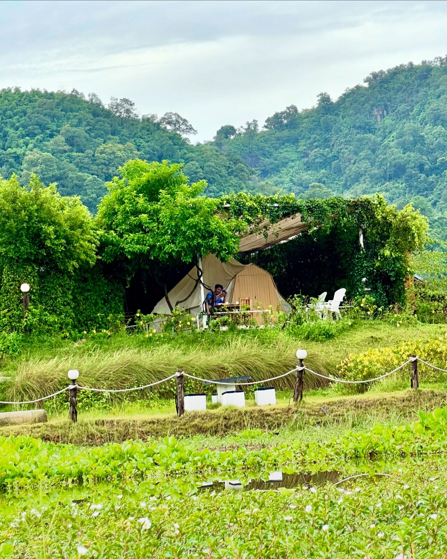 ต่าย - อรทัย ดาบคำ