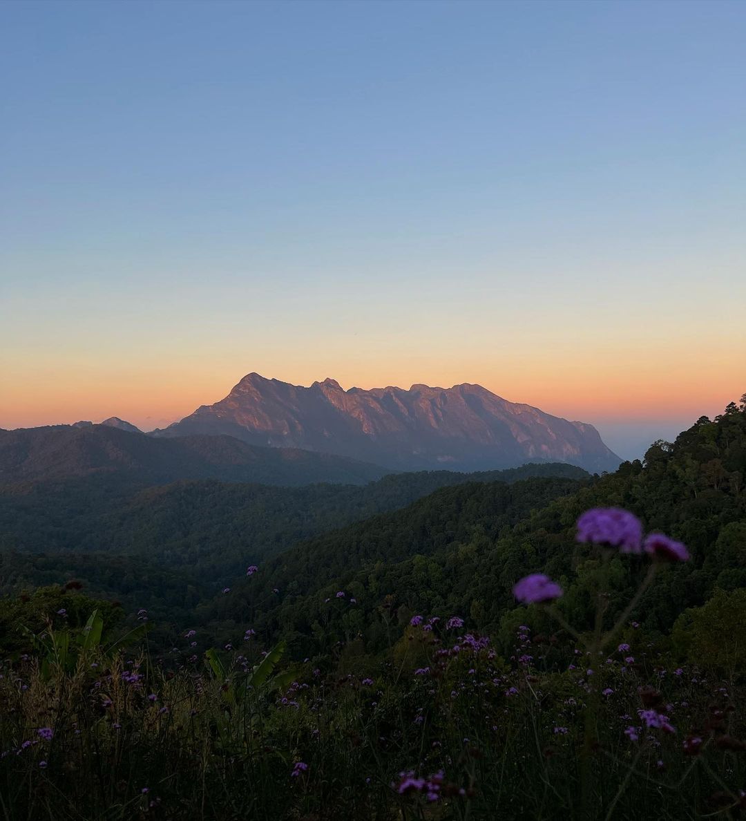 เมทัล สุขขาว