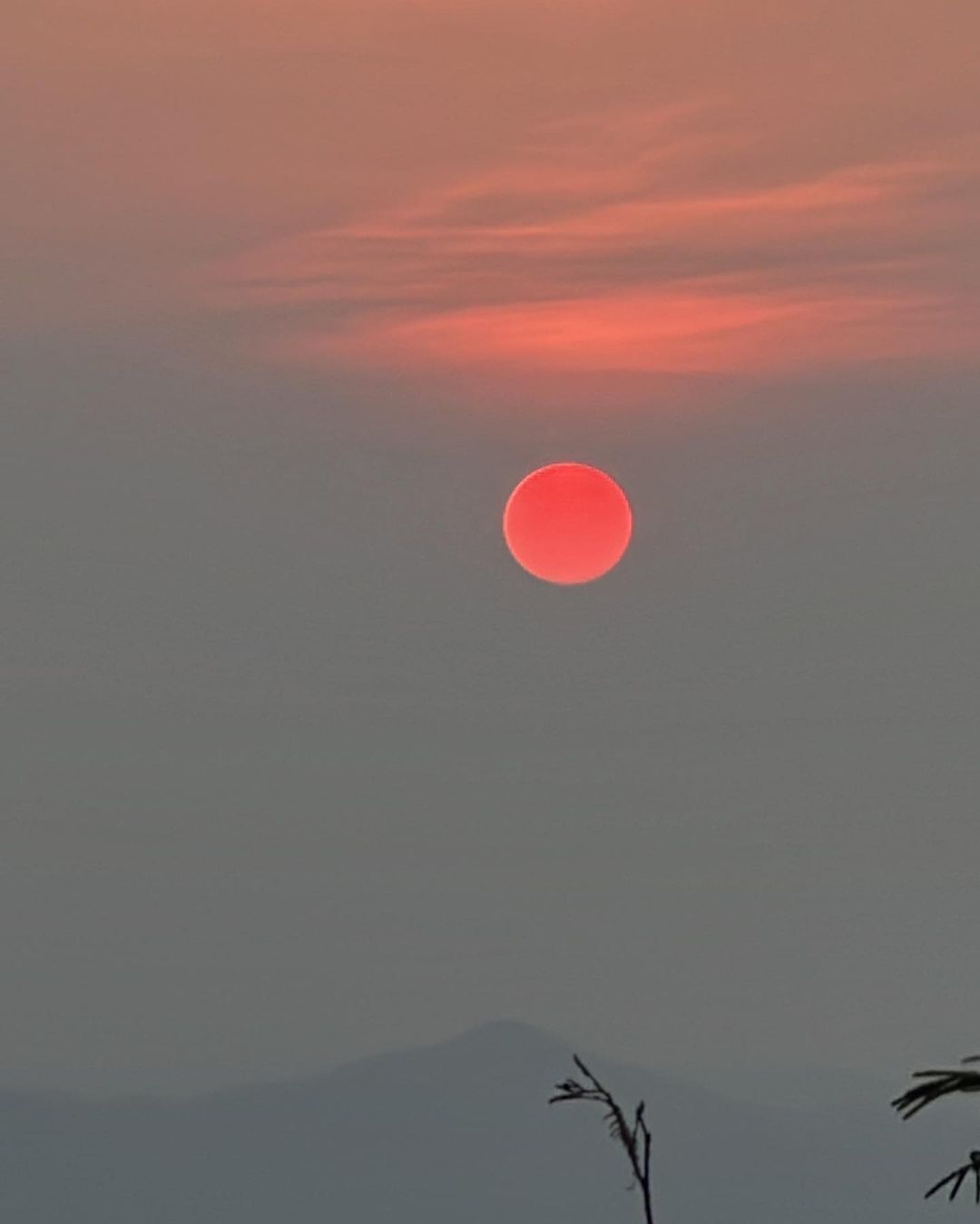 เมทัล สุขขาว