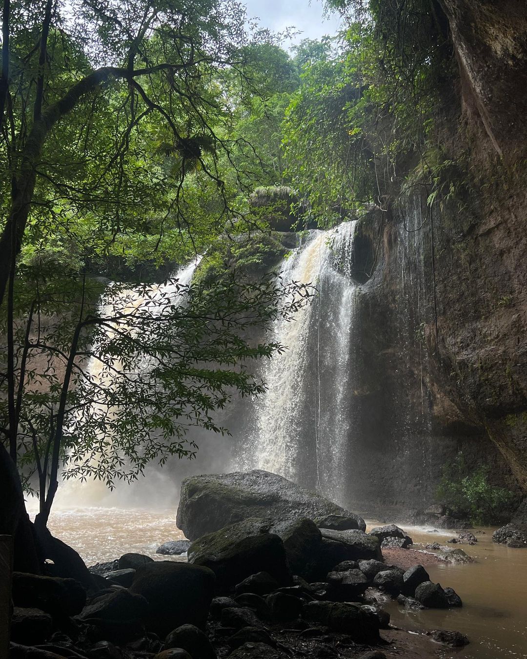 เมทัล สุขขาว