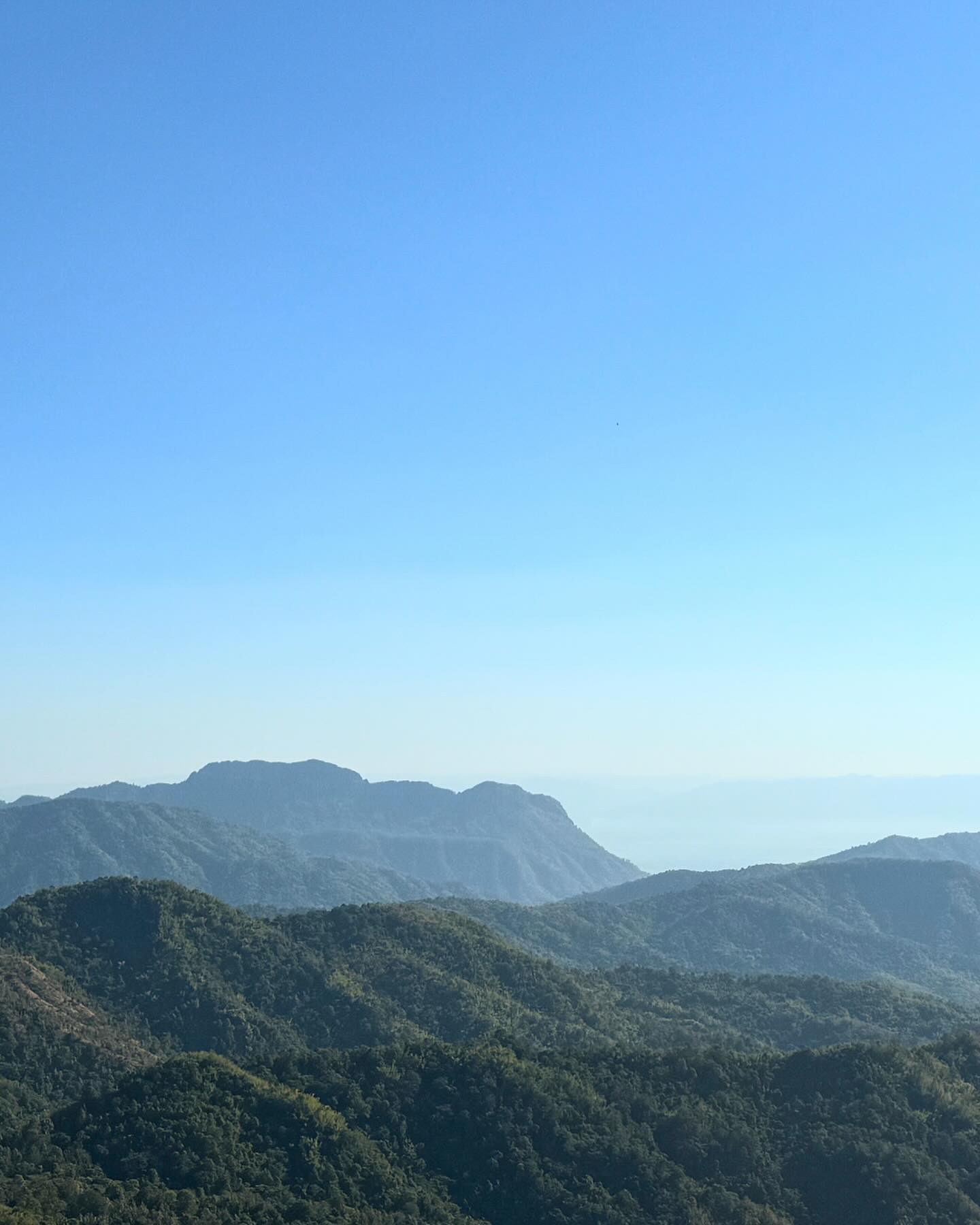 เมทัล สุขขาว