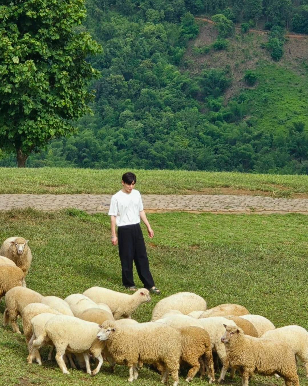 นิว - ฐิติภูมิ เตชะอภัยคุณ