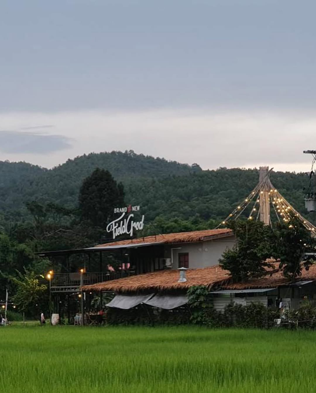 นิว - นภัสสร ภูธรใจ