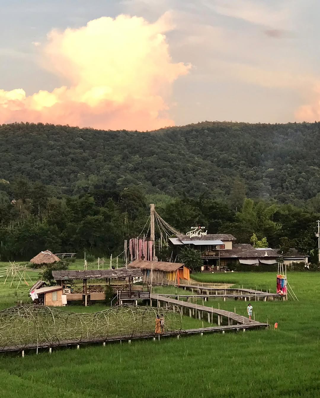 นิว - นภัสสร ภูธรใจ