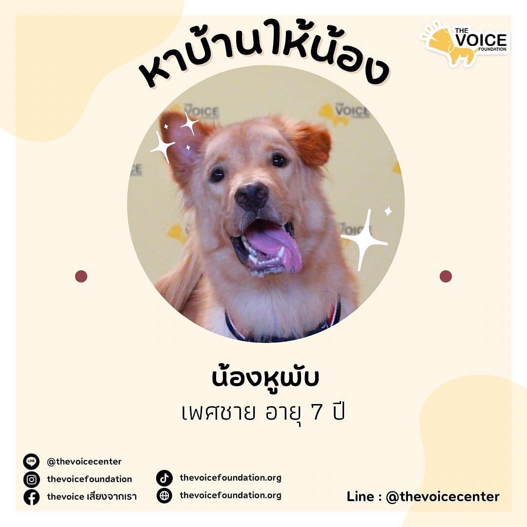 ตุ๊ก - ชนกวนันท์ รักชีพ