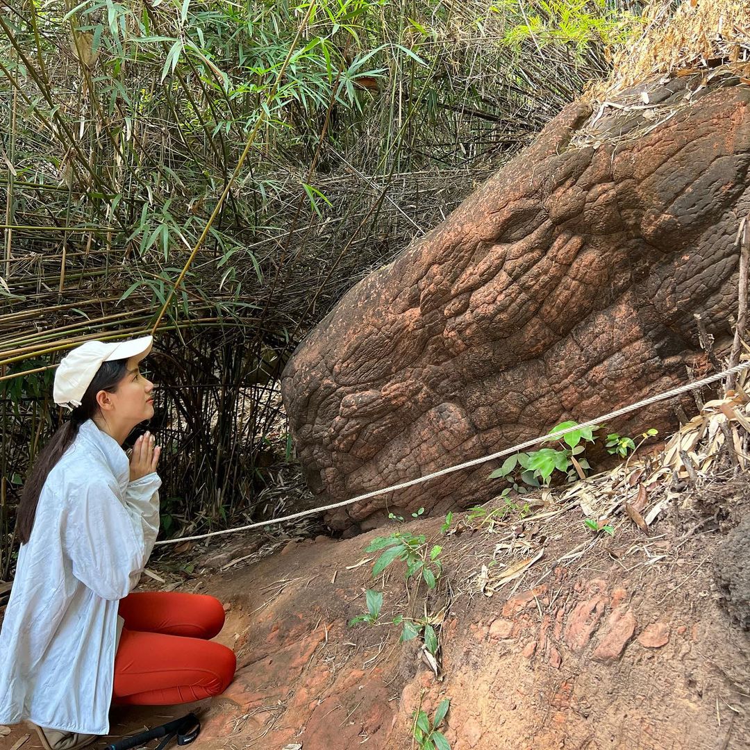 ดาต้า - ดรัลชรัส ศุขีวิริยะ