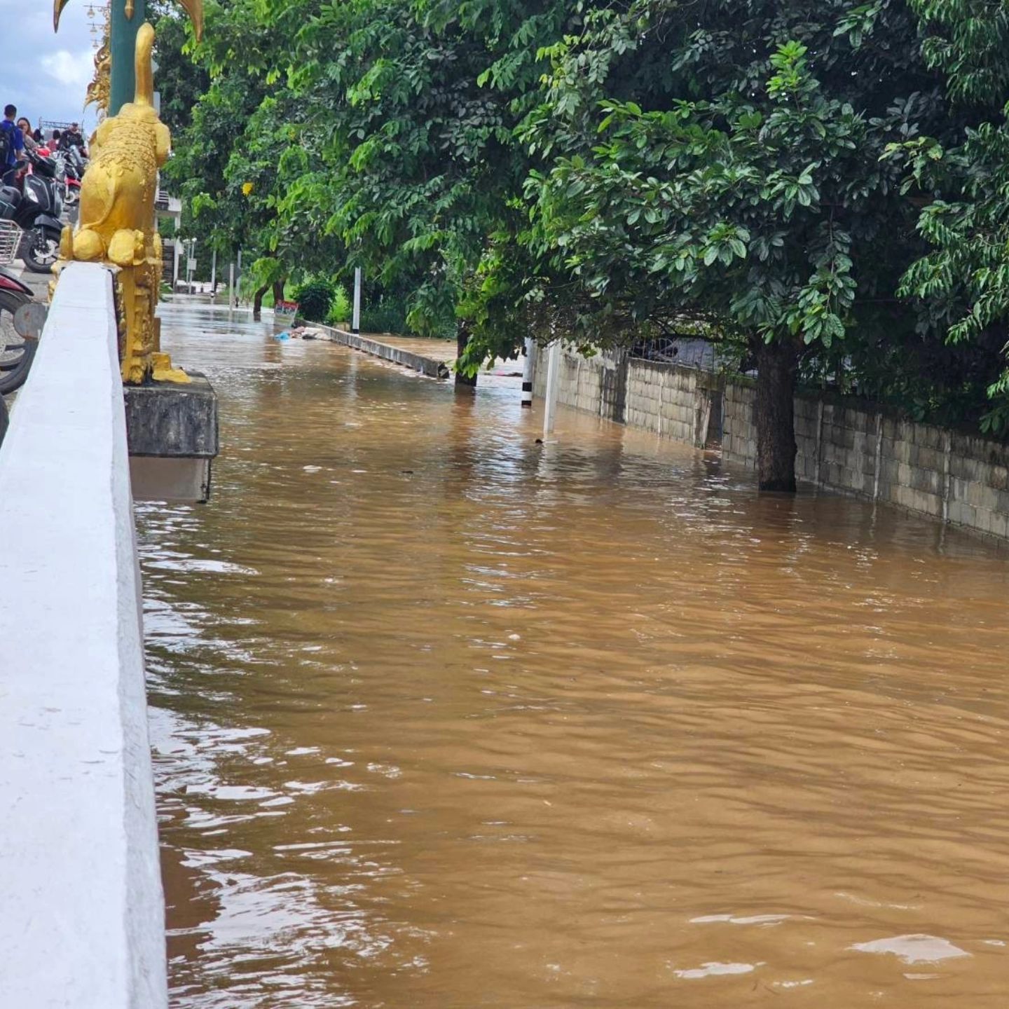 นัท - ปนัดดา เรืองวุฒิ