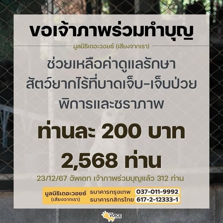 ป๋อมแป๋ม - นิติ ชัยชิตาทร