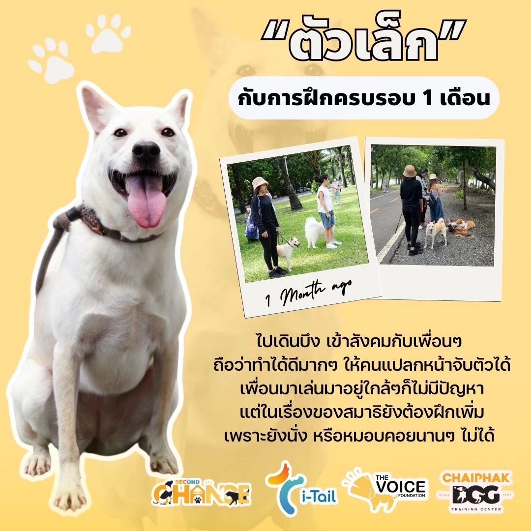 เชียร์ - ฑิฆัมพร ฤทธิ์ธาอภินันท์