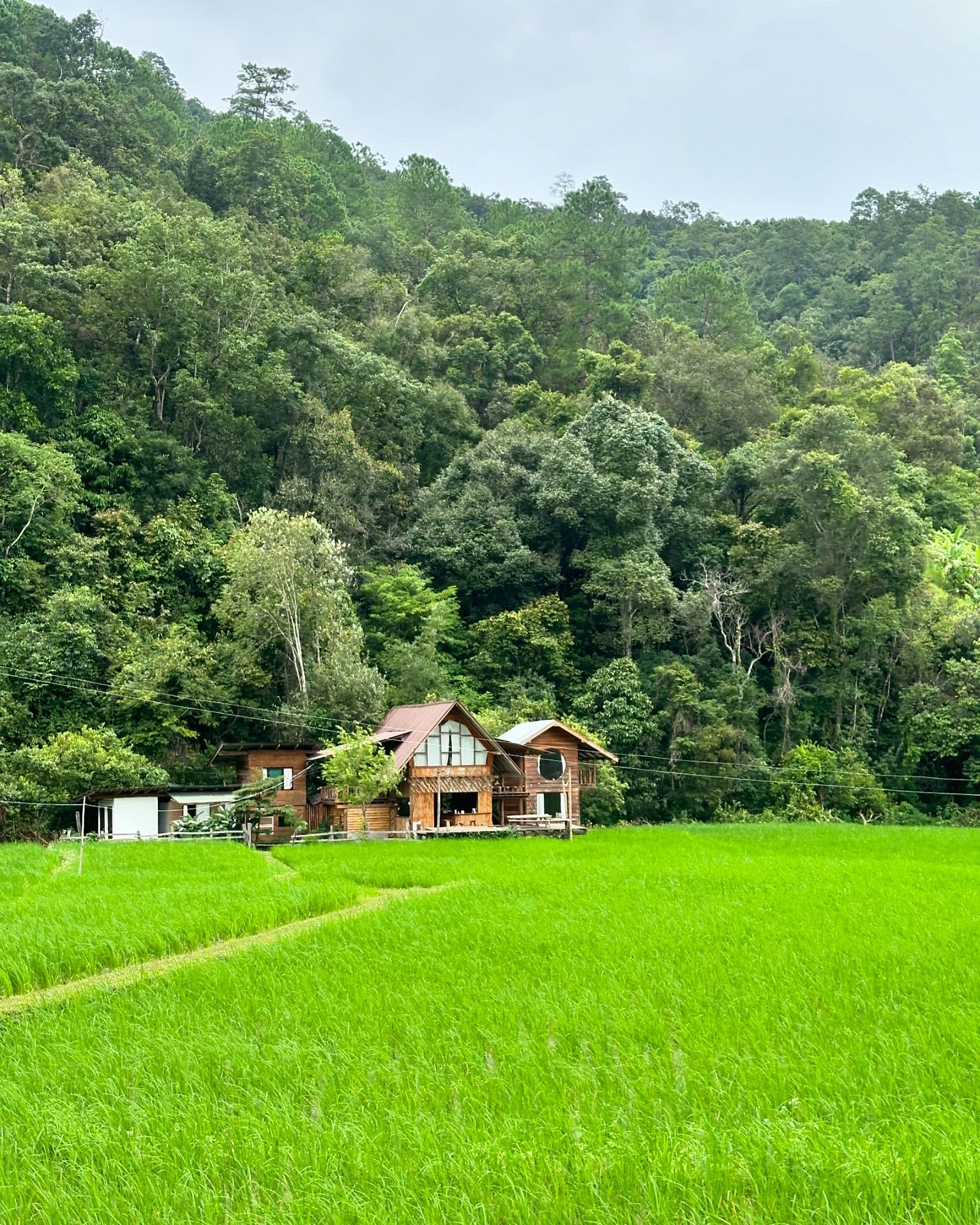 เอิร์ธ - กัษมนณัฏฐ์ นามวิโรจน์