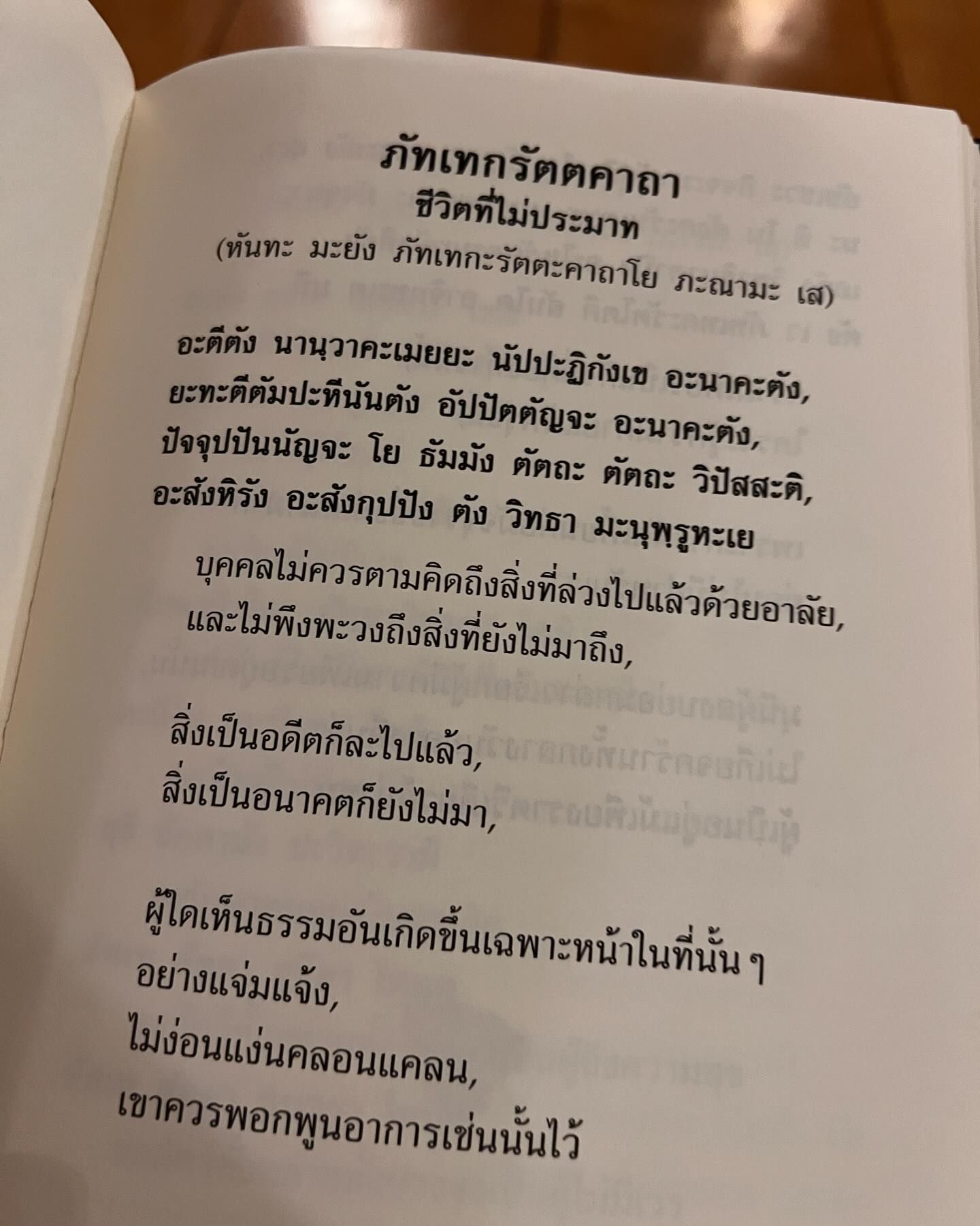 เฟิร์น - นพจิรา ฤกษ์ขจรนามกุล