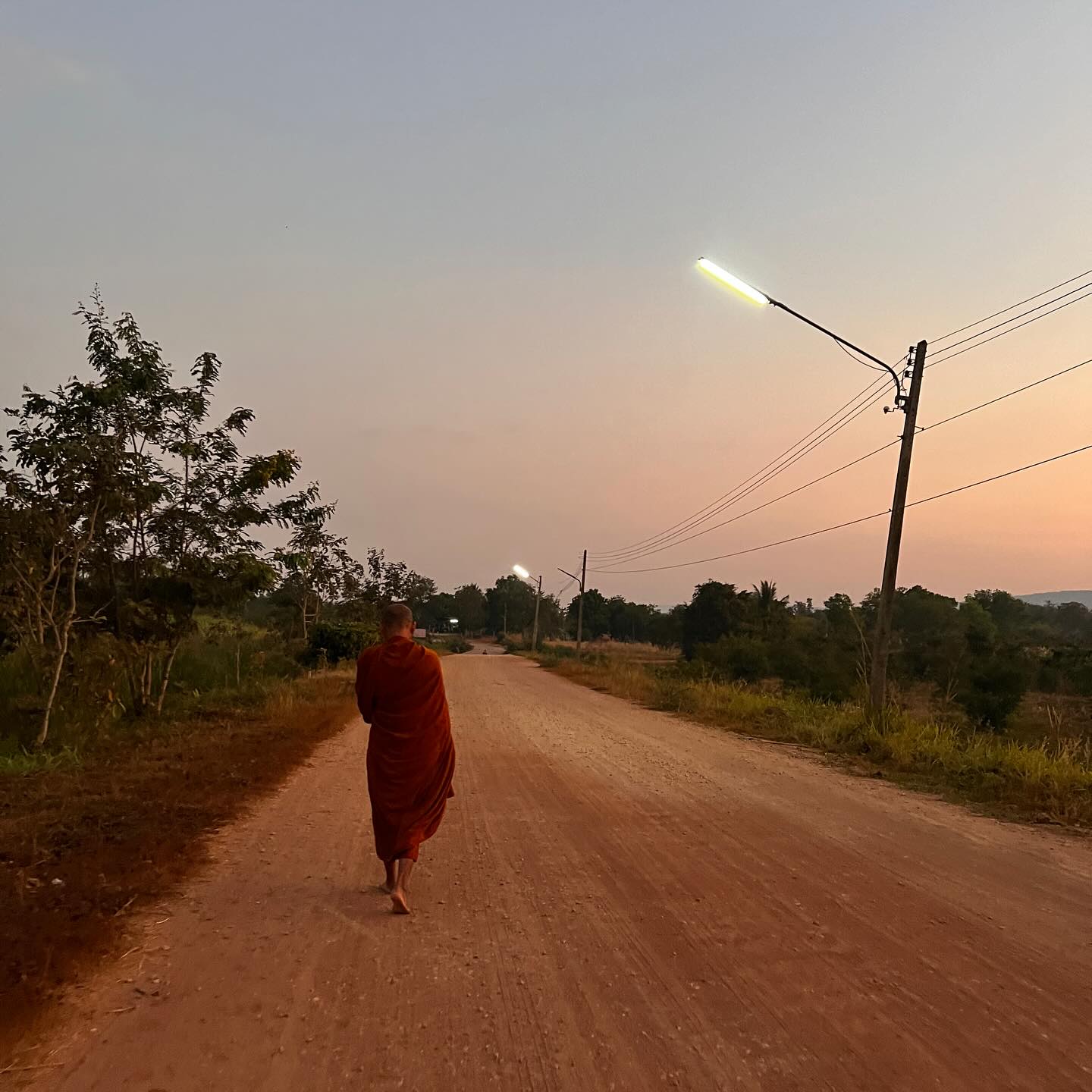 เฟิร์น - นพจิรา ฤกษ์ขจรนามกุล