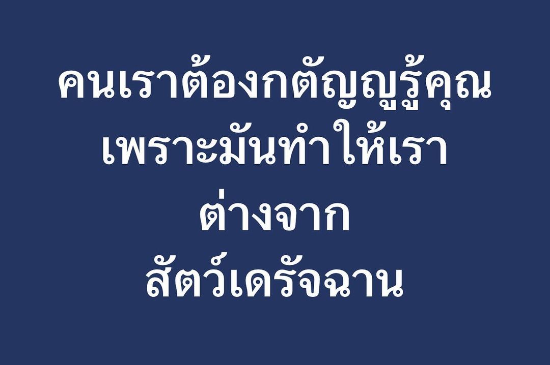 พล่ากุ้ง - วรชาติ ธรรมวิจินต์