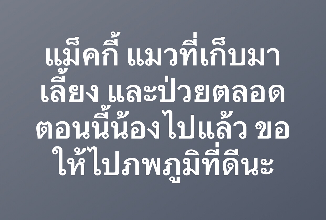 พล่ากุ้ง - วรชาติ ธรรมวิจินต์