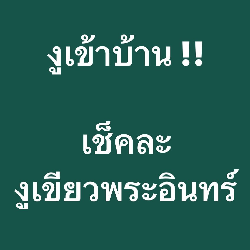 พล่ากุ้ง - วรชาติ ธรรมวิจินต์