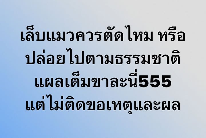 พล่ากุ้ง - วรชาติ ธรรมวิจินต์