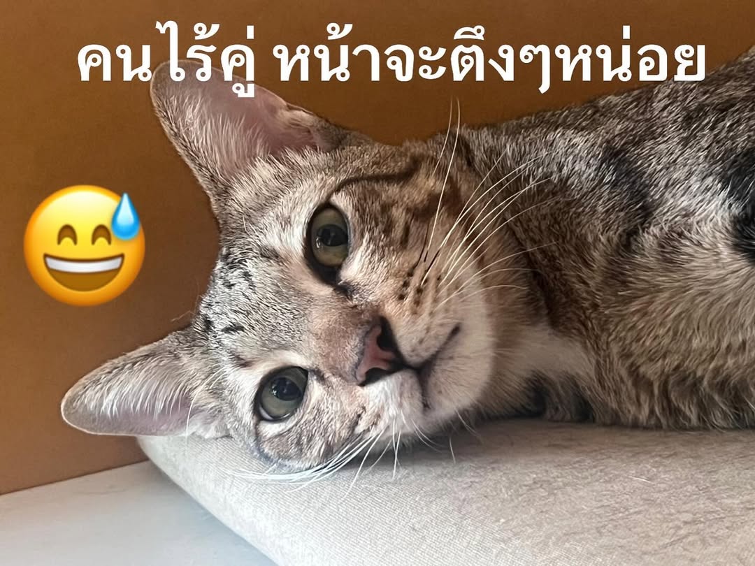 พล่ากุ้ง - วรชาติ ธรรมวิจินต์