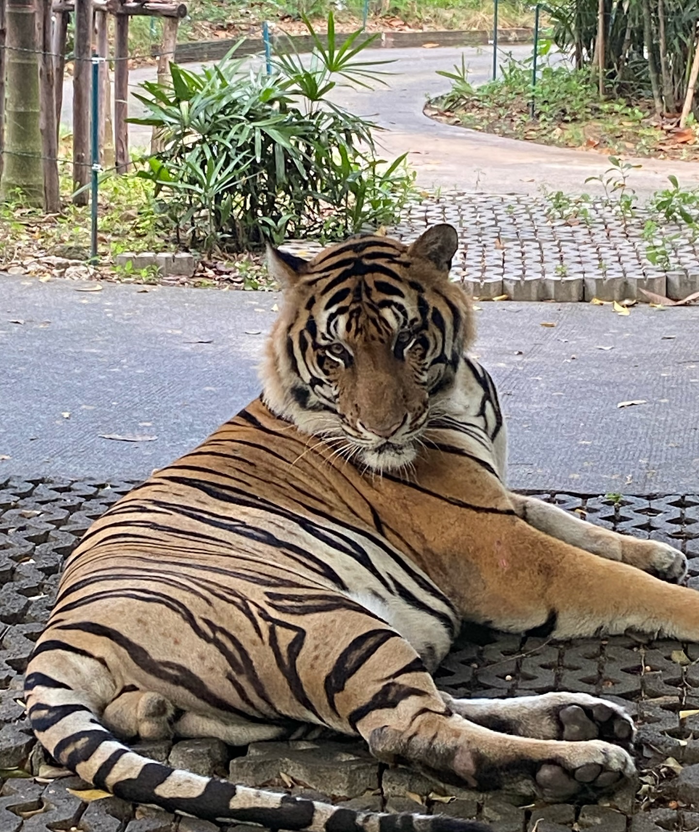 ฟลุท - ชินพรรธน์ กิตติชัยวรางค์กูร