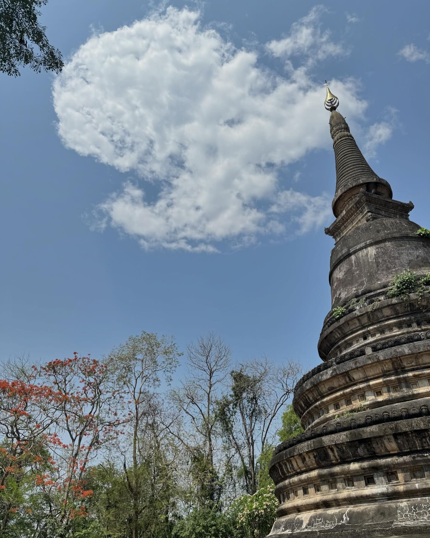 ปอนด์ - พลวิชญ์ เกตุประภากร