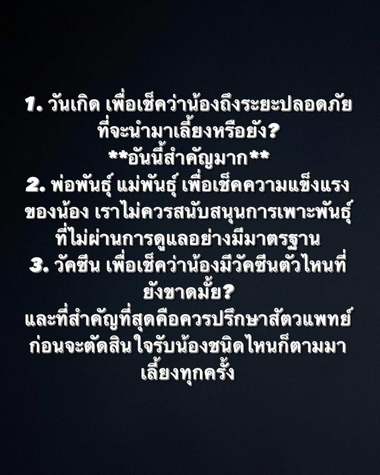 บี๊บ - ศิรสัณห์ หอวิจิตร