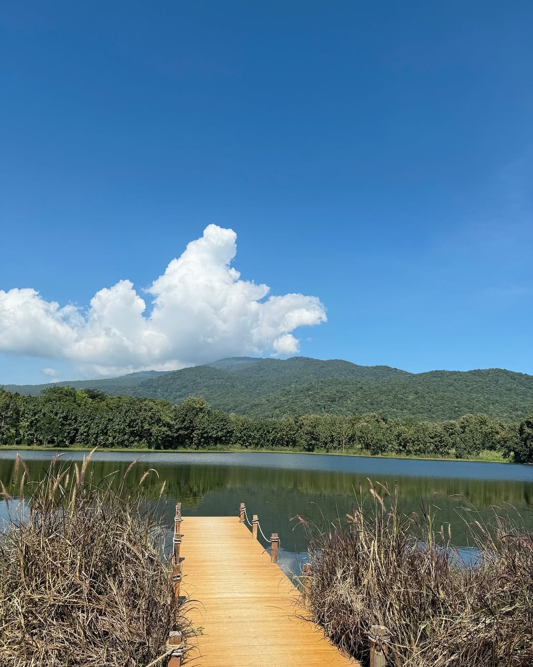 น้ำหวาน - ภูริตา สุปินชุมภู