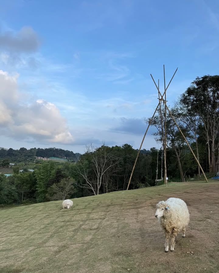 น้ำหวาน - ภูริตา สุปินชุมภู