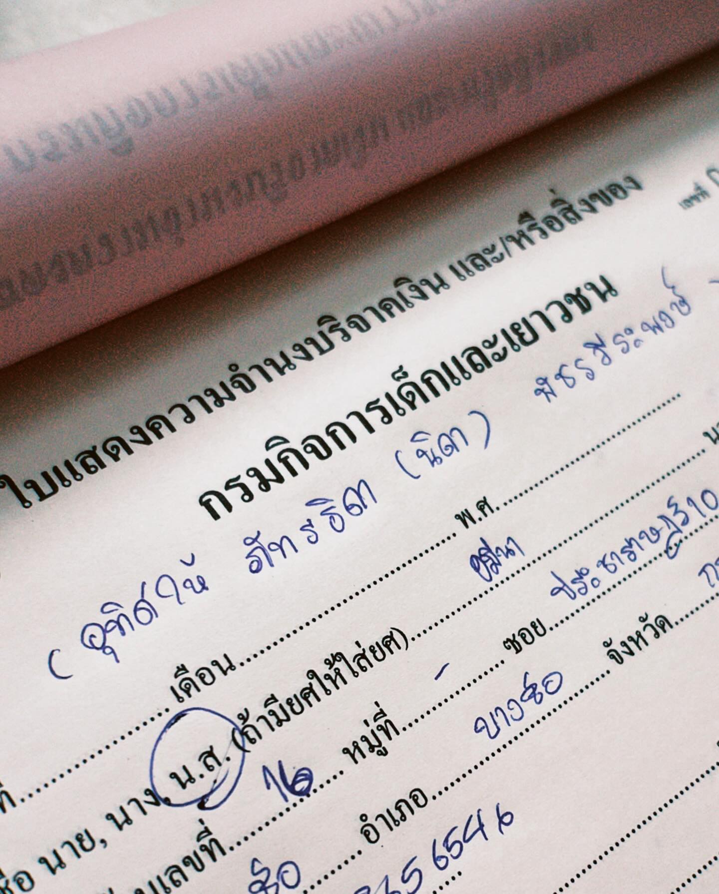 โม - อมีนา พินิจ