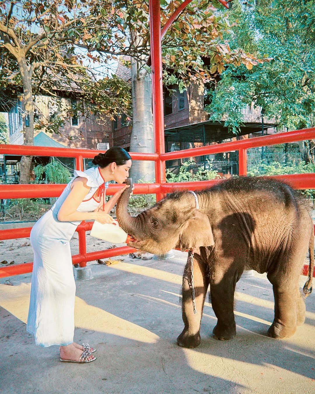 โม - อมีนา พินิจ