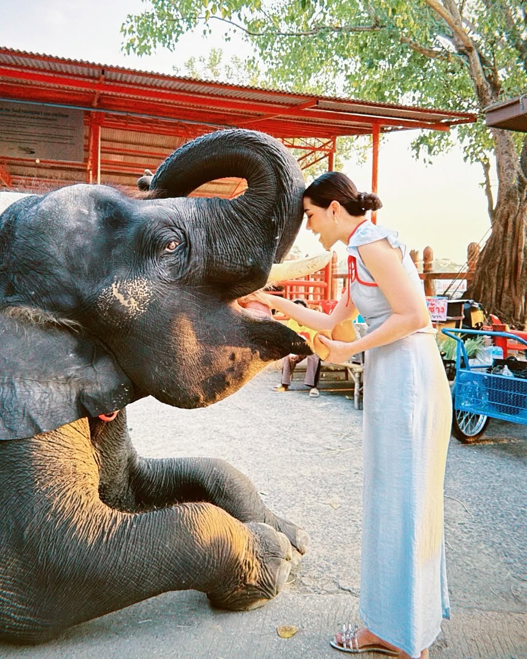 โม - อมีนา พินิจ