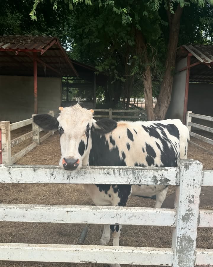 บาร์โค้ด - ตฤณสิษฐ์ อิสระพงศ์พร