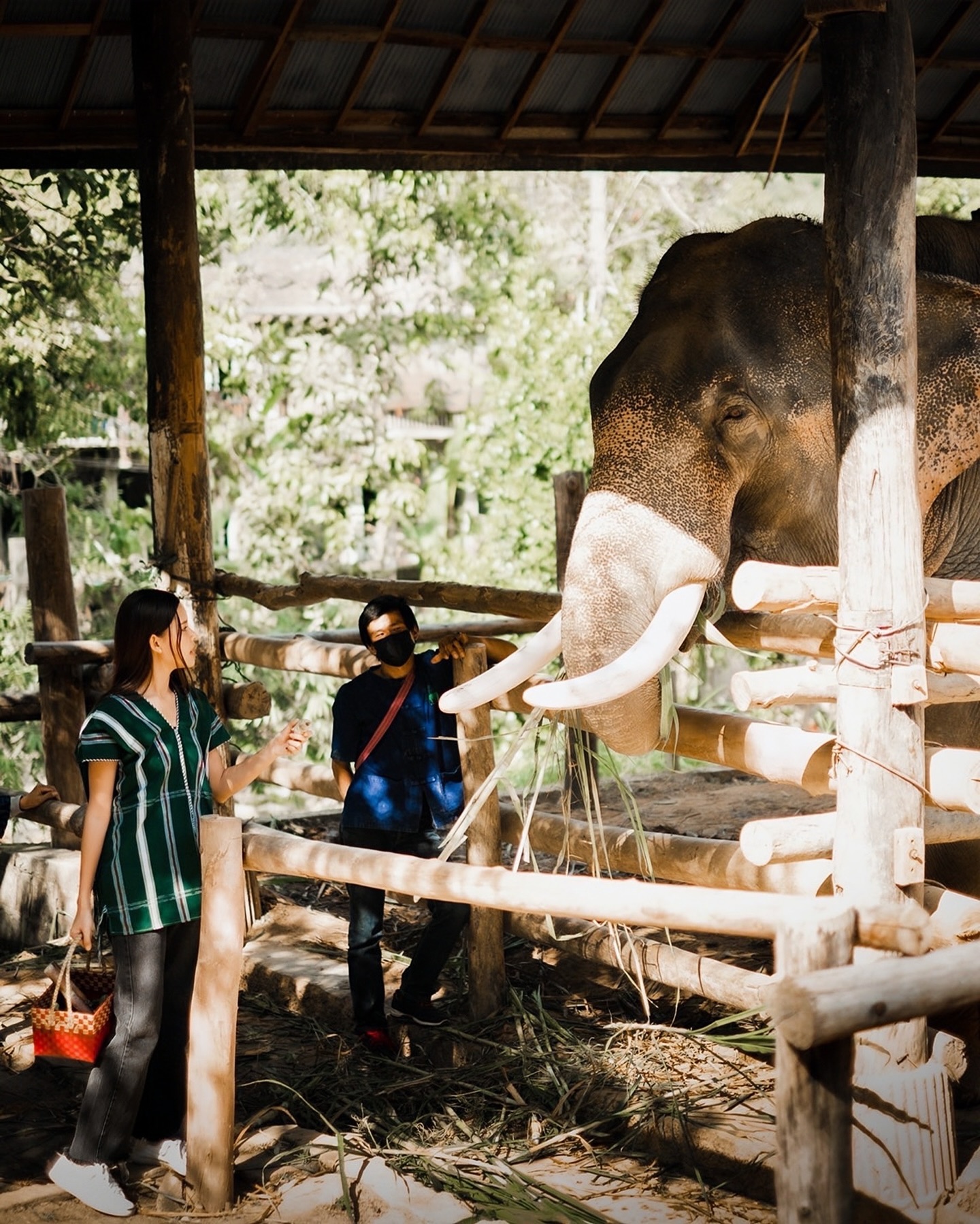 ไข่มุก - รุ่งรัตน์ เหม็งพานิช