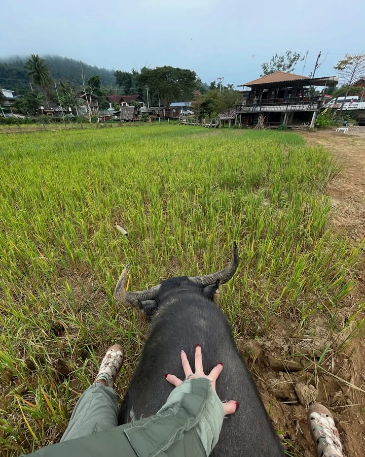 ไข่มุก - รุ่งรัตน์ เหม็งพานิช