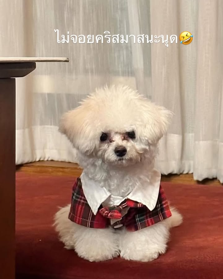 ฟาง - พิชญา เชาวลิต