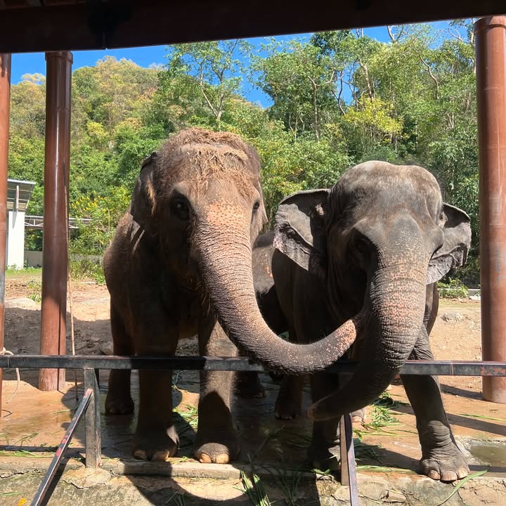 เงิน - อนุภาษ เหลืองสดใส