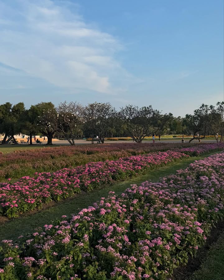 ยิปซี - คีรติ มหาพฤกษ์พงศ์