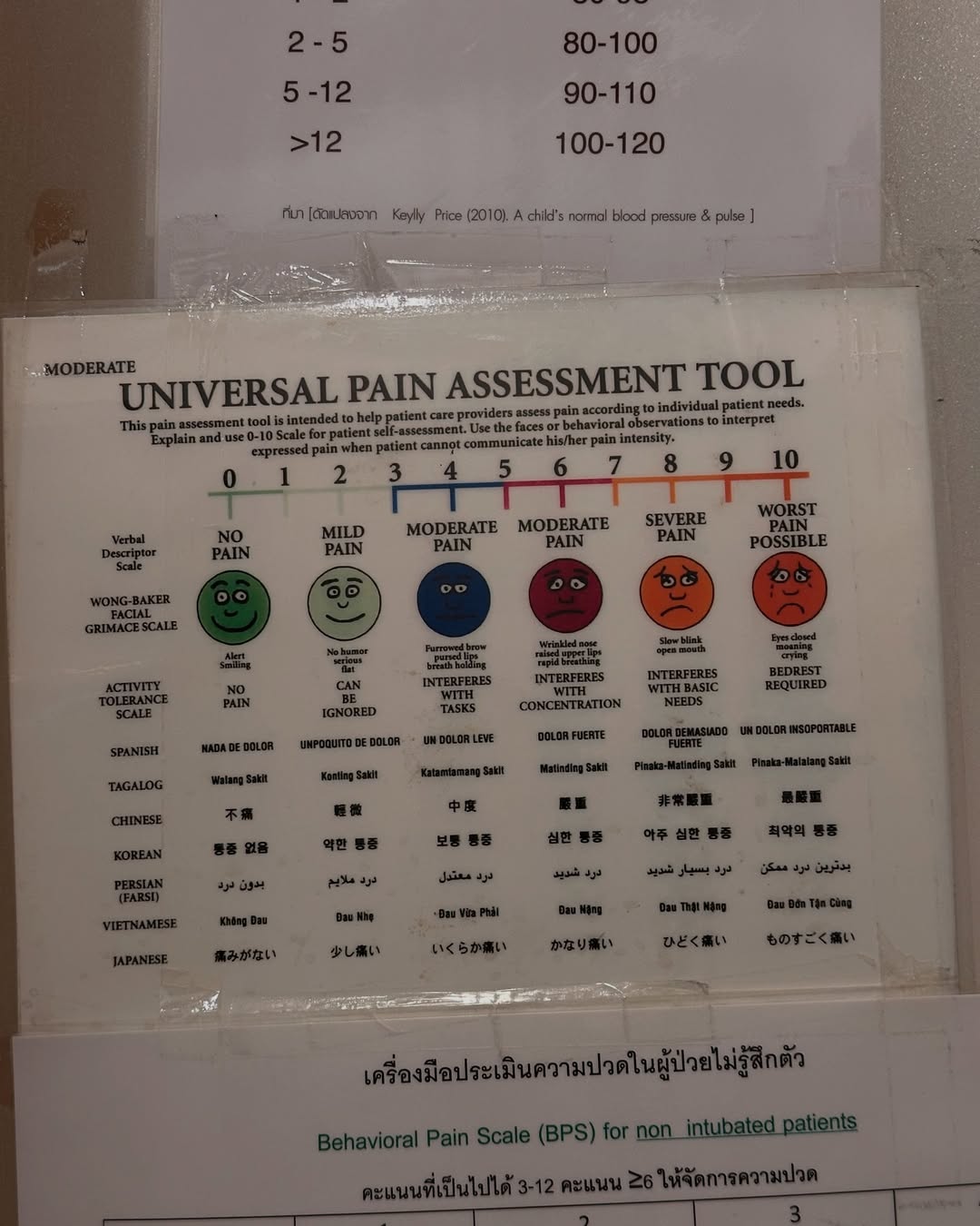 ยิปโซ - อริย์กันตา มหพฤกษ์พงศ์