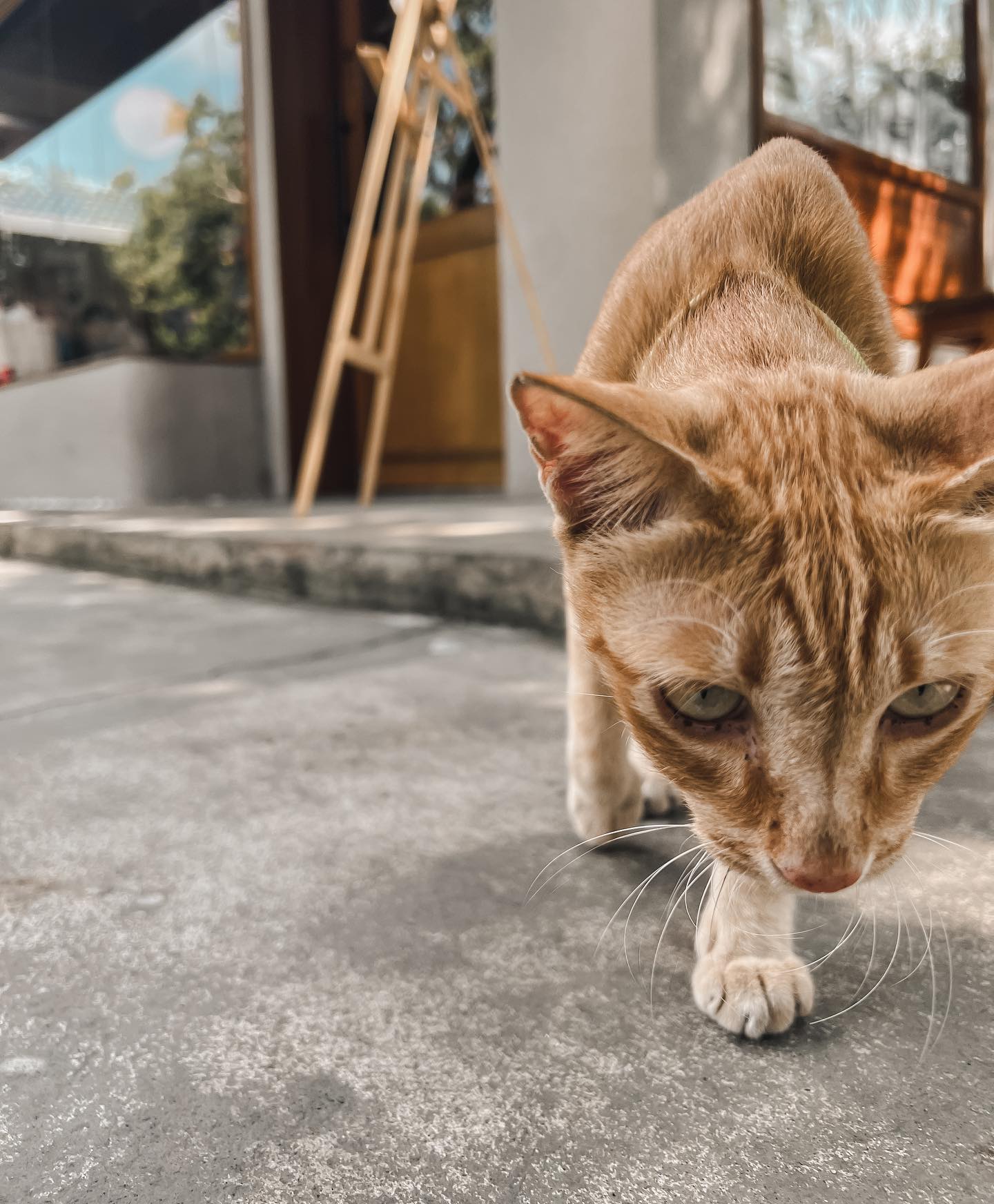 ปอ - อรรณพ ทองบริสุทธิ์