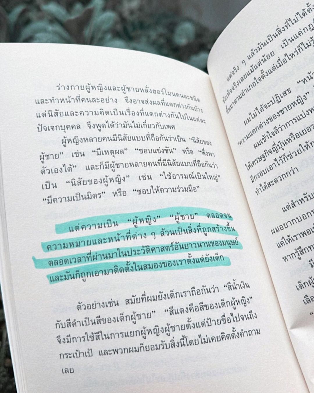 เขื่อน - ภัทรดนัย เสตสุวรรณ