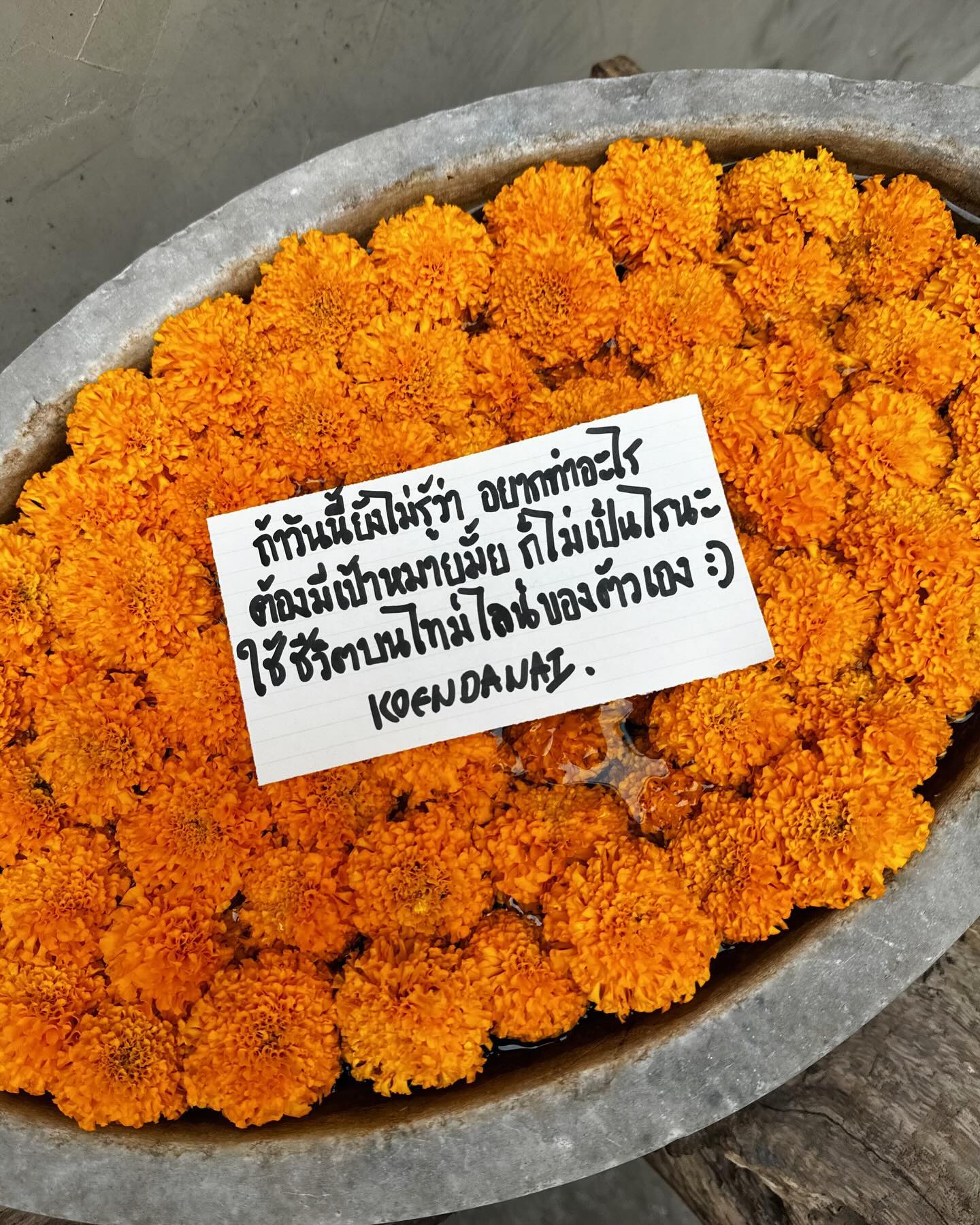 เขื่อน - ภัทรดนัย เสตสุวรรณ