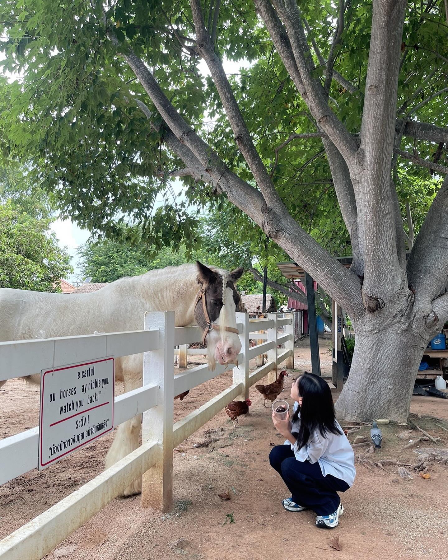 เนย - กานต์ธีรา วัชรทัศนกุล