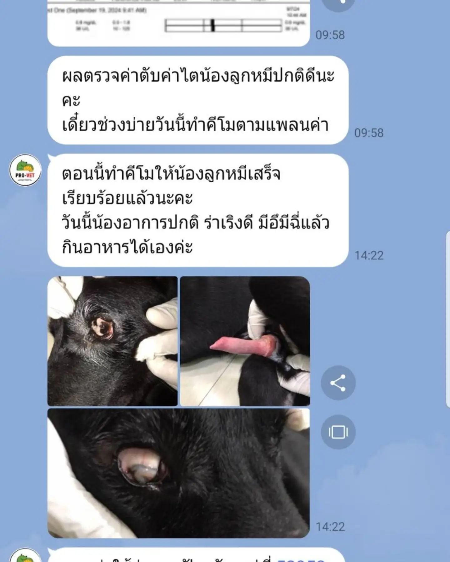 อี๊ฟ - พุทธธิดา ศิระฉายา