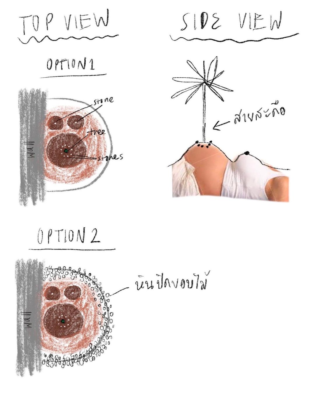 นท พนายางกูร