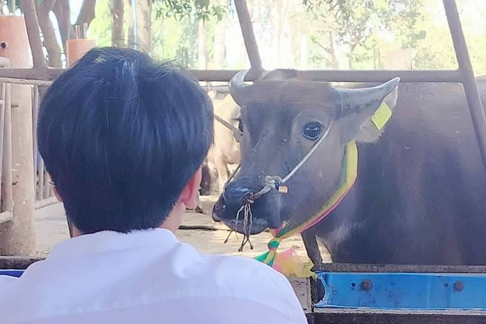 กองทัพ พีค