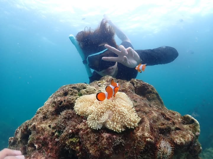 ชิม่อน -  วชิรวิชญ์ เรืองวิวรรธน์