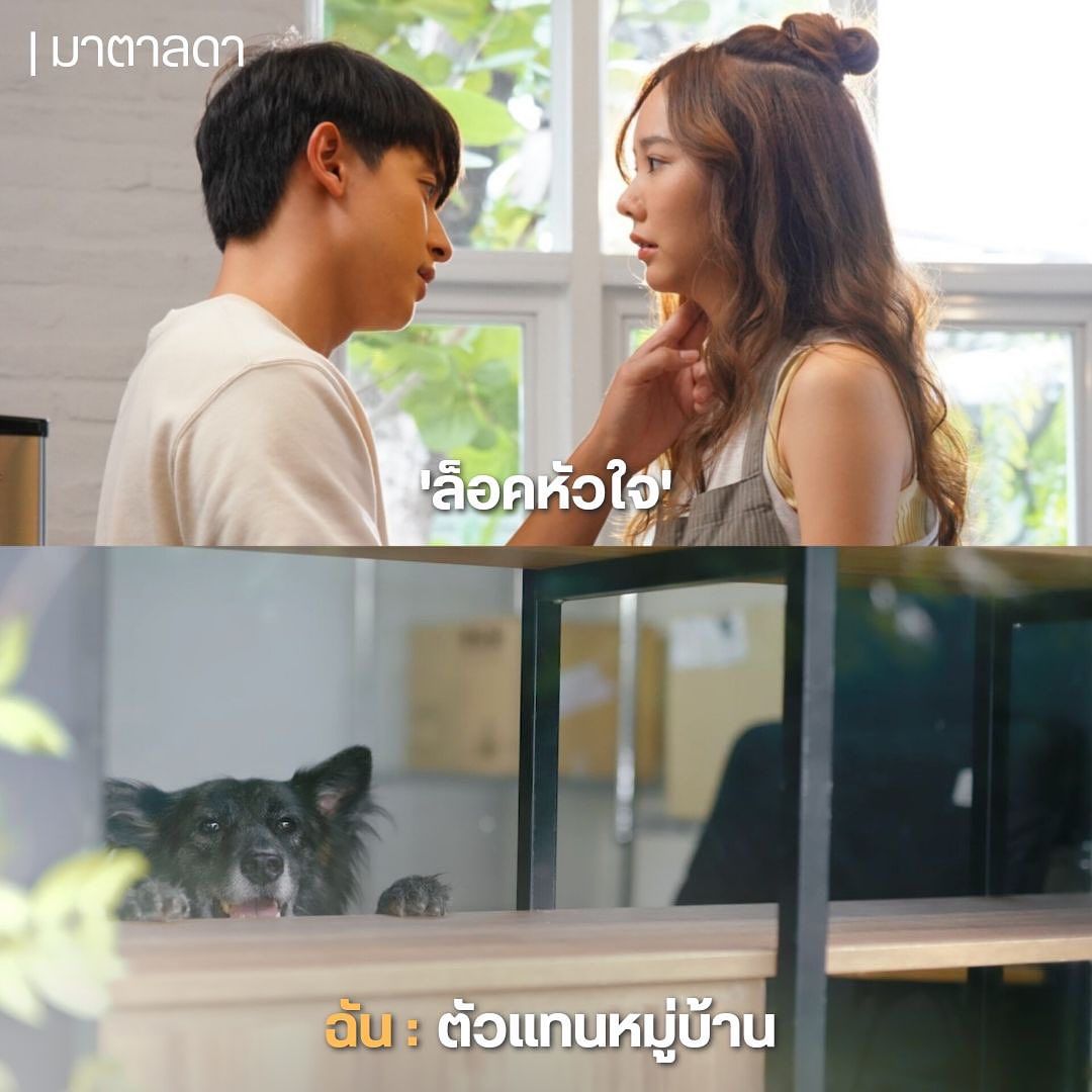 ชาย - ชาตโยดม หิรัญยัษฐิติ