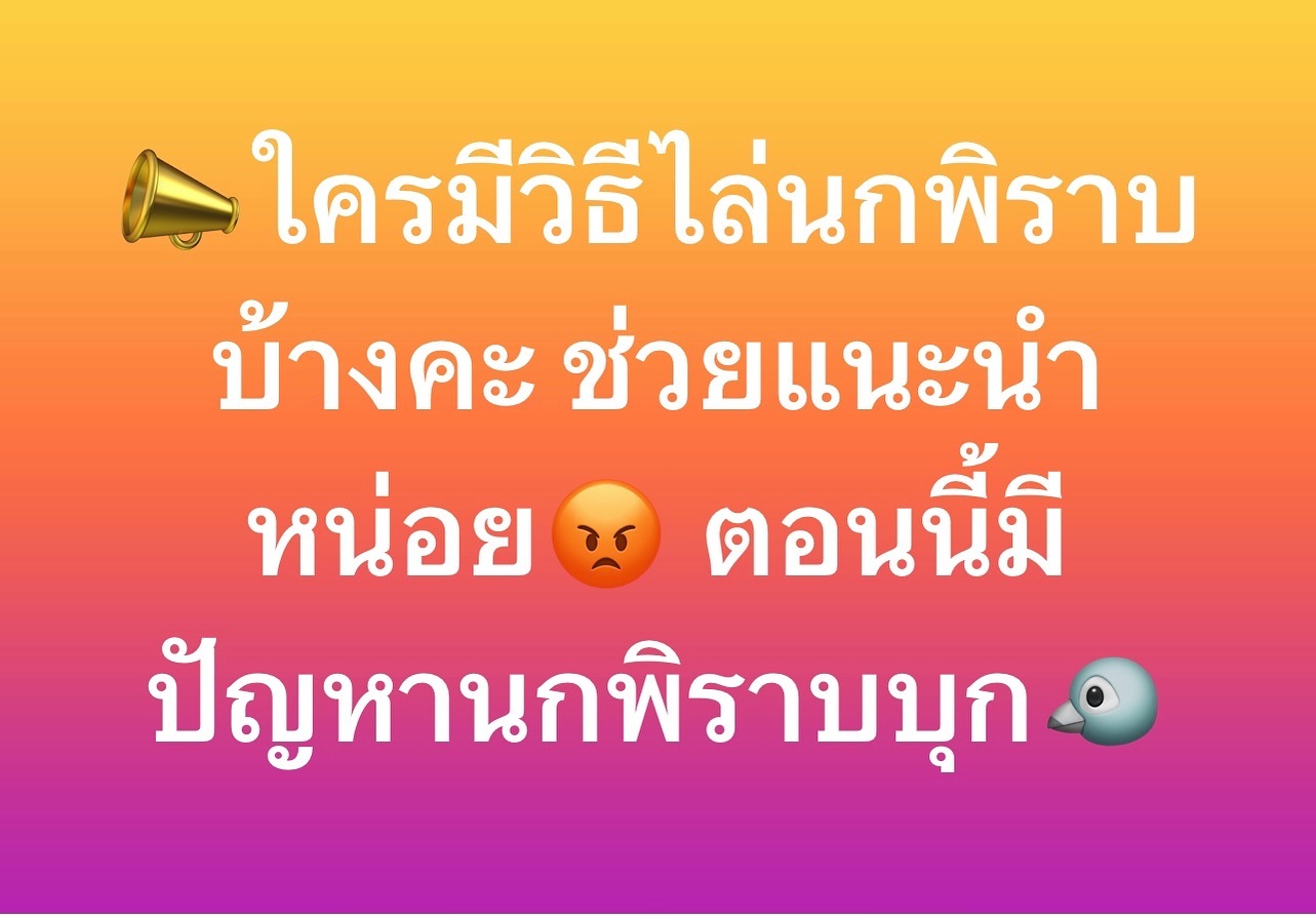 แอน - อลิชา หิรัญพฤกษ์