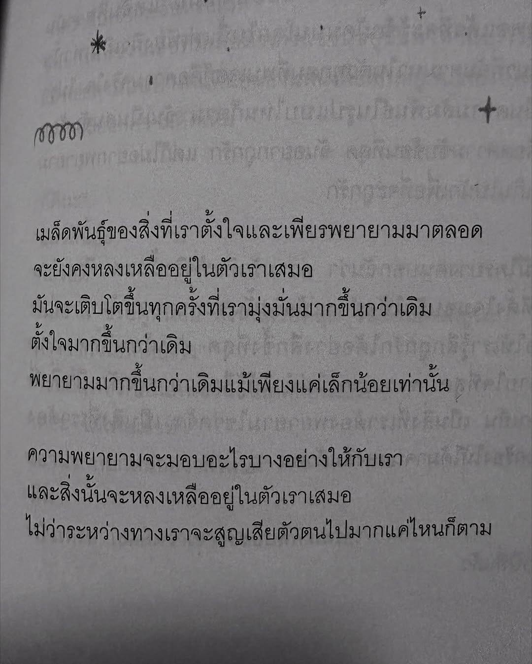 เฟียต - ภัชทา จันทร์เงิน