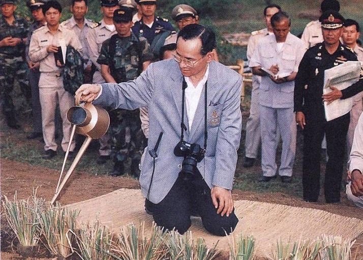 เบนซ์ - ปุณยาพร พูลพิพัฒน์