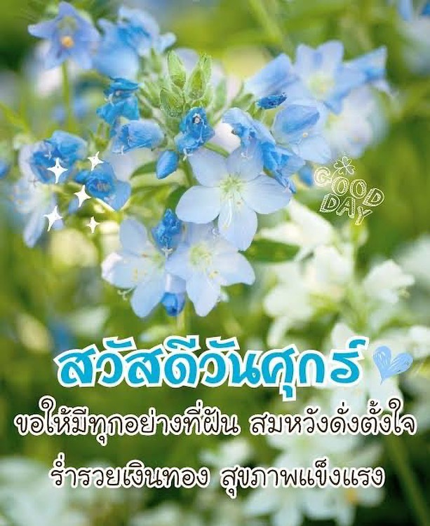 หน่อง - ธนา ฉัตรบริรักษ์