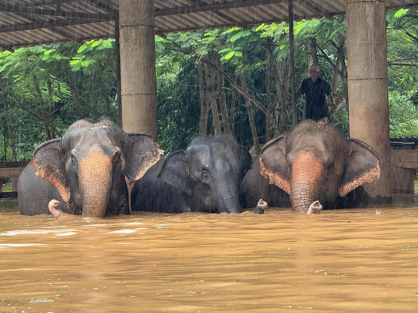 ติ๊นา - คริสติน่า อากีล่าร์